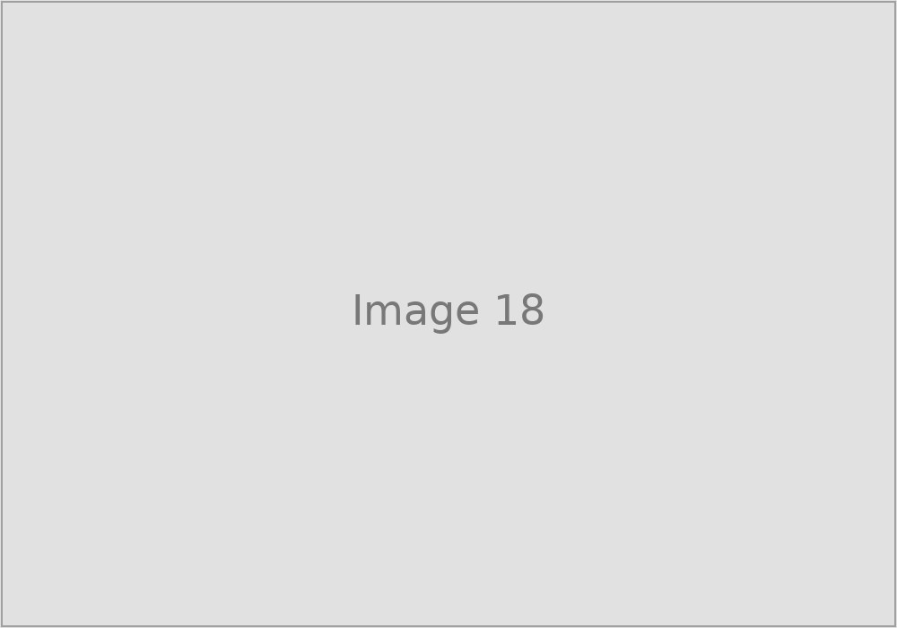 Image 18