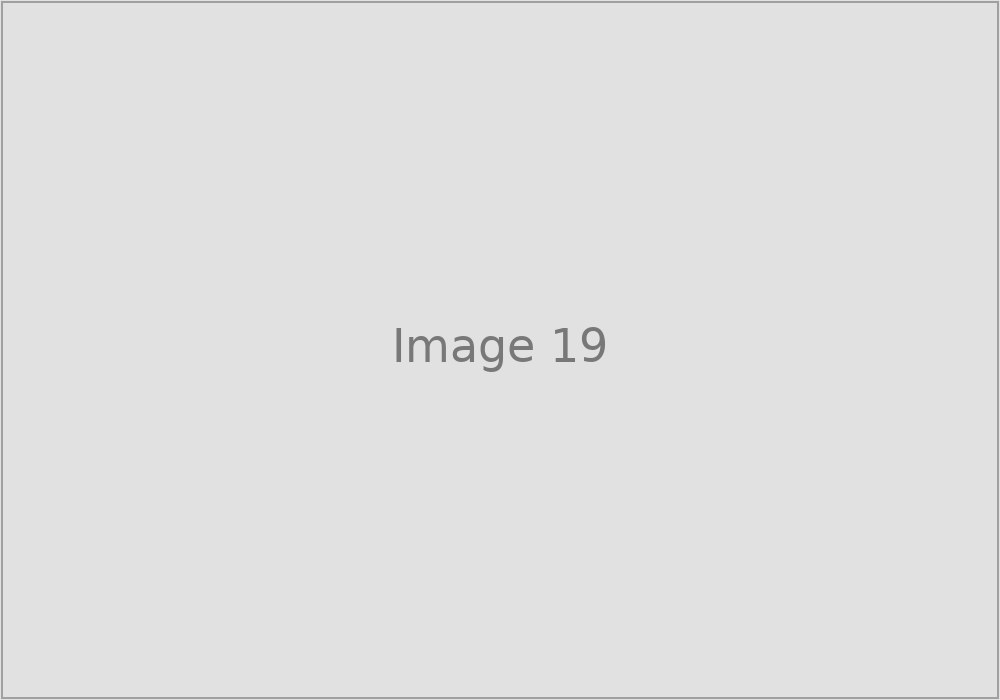 Image 19