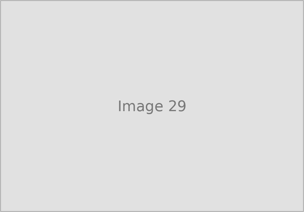 Image 29