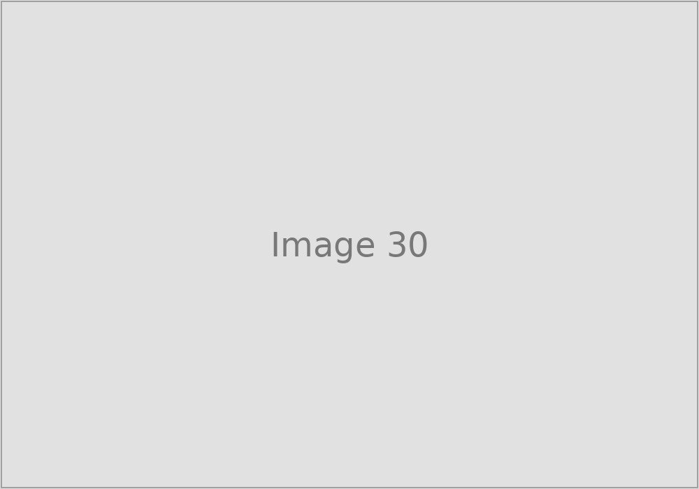 Image 30