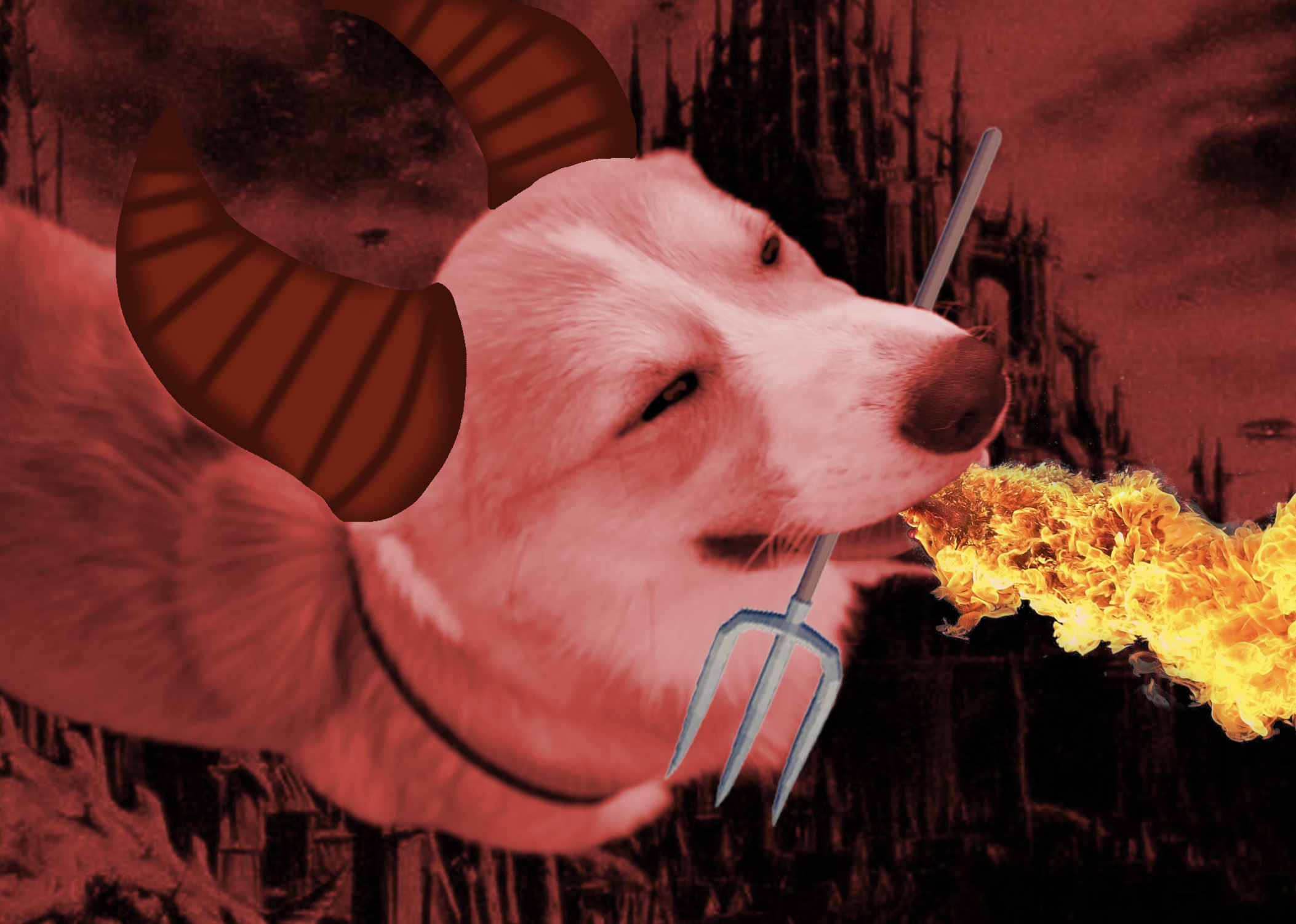 Image 40