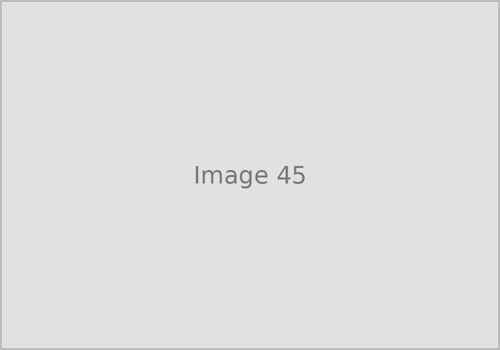 Image 45