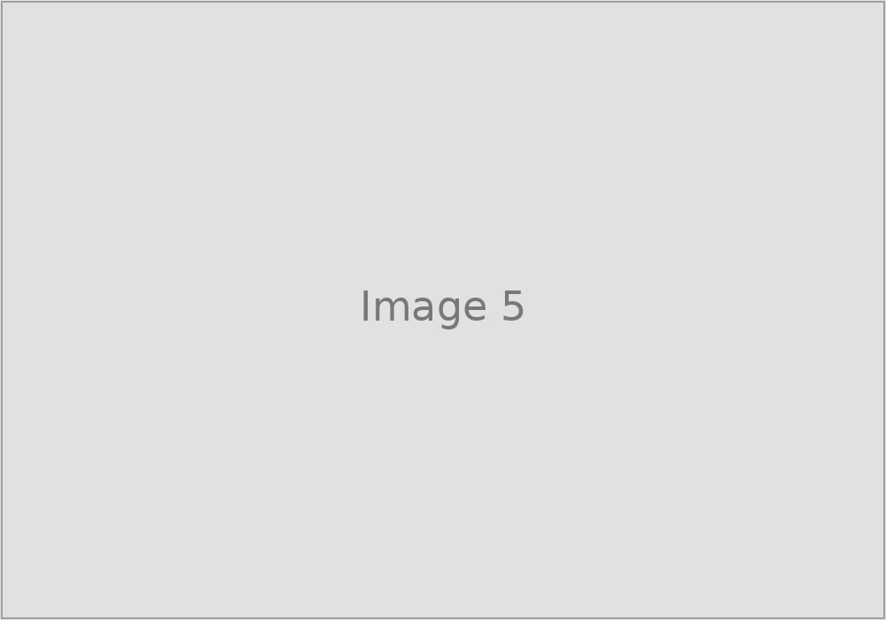 Image 5