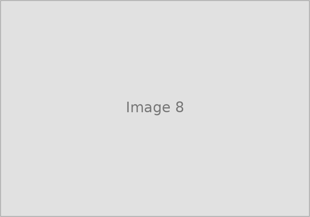 Image 8