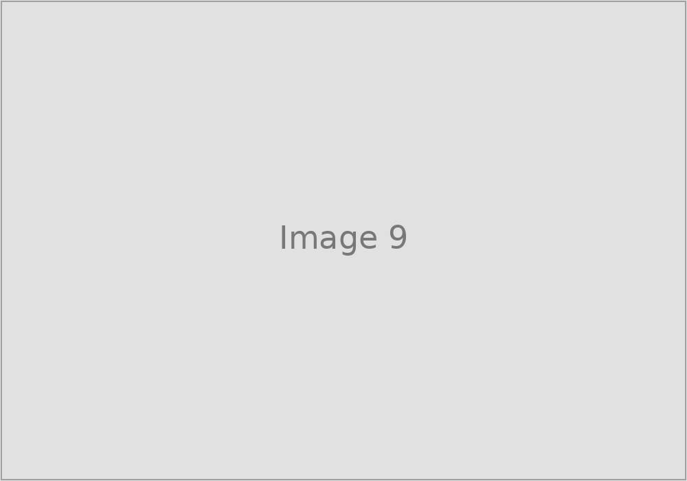 Image 9